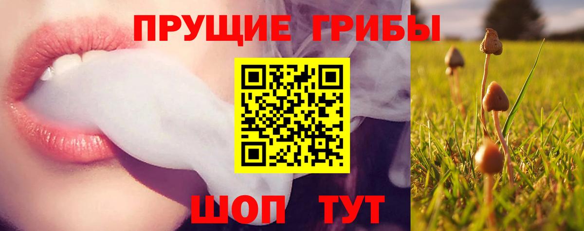 Таганрог  сколько стоит  Вход с VPN  Галлюциногенные грибы ЛСД  Псилоцибиновые грибы мицелий 